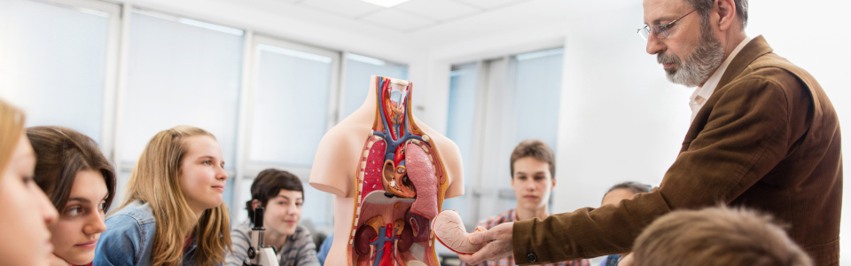Eine Gruppe Jugendlicher im Anatomieunterricht